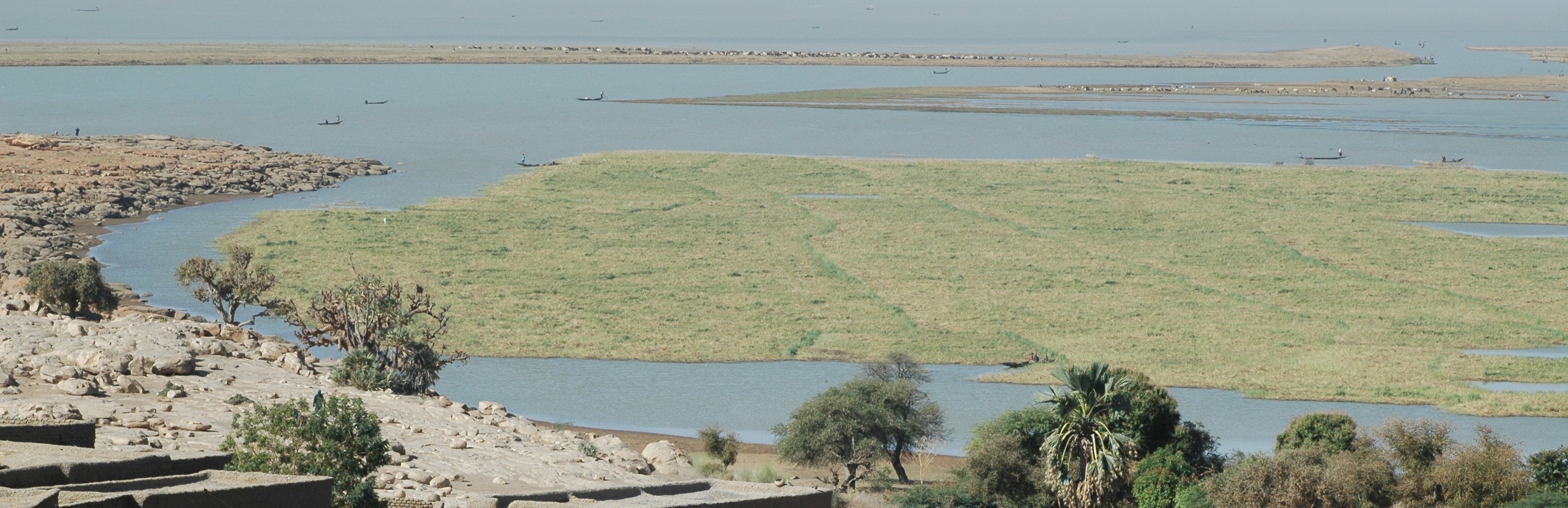 High flood in the Inner Niger Delta | bulletin 12 October 2022