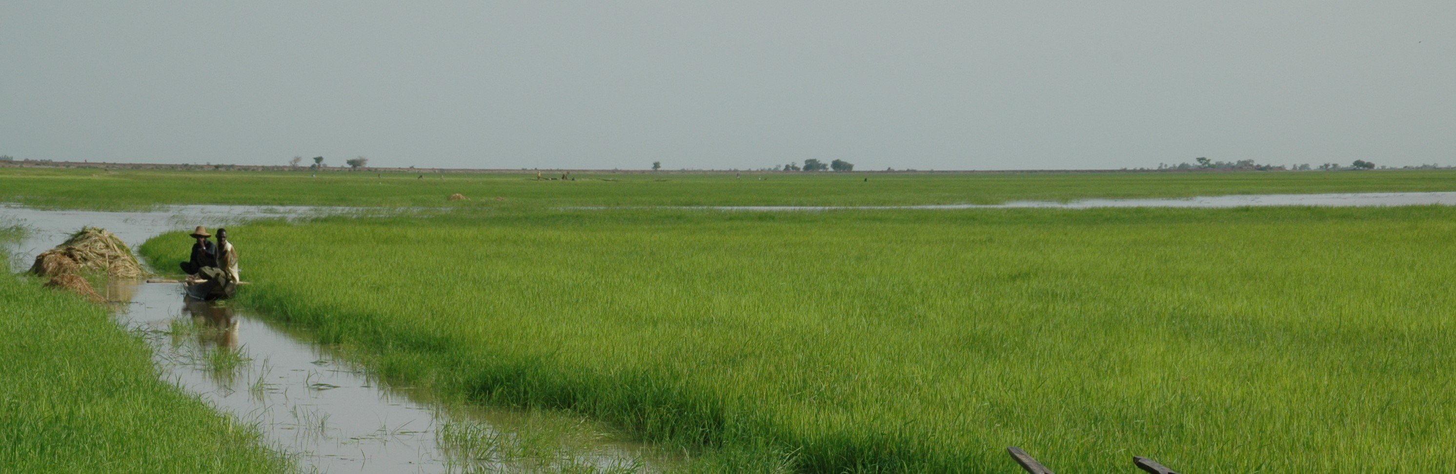 Bulletin 6: Très fortes inondations attendues dans le delta intérieur du Niger