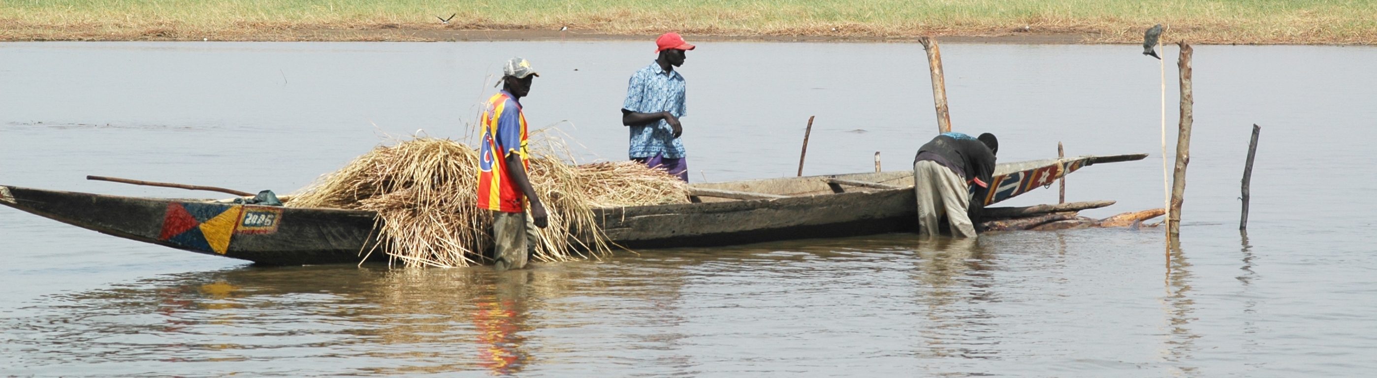 La crue dans le Delta Intérieur du Niger atteint son maximum | bulletin 24 octobre 2022