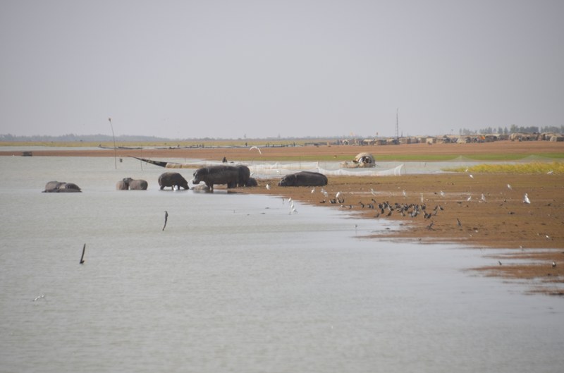 300 DSC_3986.JPG