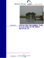 image1_website.png